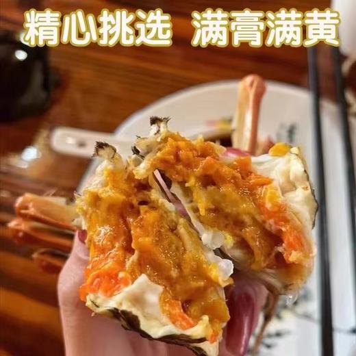 臻选级2388型洪泽湖大闸蟹8只（公蟹4.5-4.9两，母蟹3.0-3.4两） 商品图3