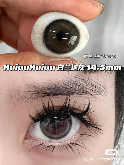 【店主实拍】Sheepcon白兰地灰-14.5mm 【年抛 度数0-1000度 无525/575】 商品图0