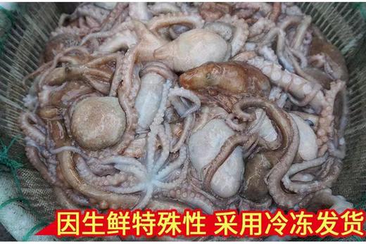 冰鲜鲜八爪鱼鲜活冷冻小章鱼迷你短腿八抓鱼大爆头去内脏捞汁小海鲜500克/袋 商品图7