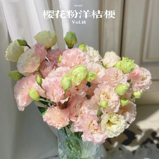 【佳海花业】洋桔梗  樱花粉  四合一（700-800g） 颜色深浅略有差异 以实物为准 云南基地发货（价格已包含包装费用） 运费以实际为准，多退少补。 商品图1