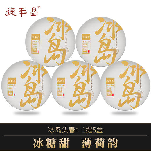 2023年春茶德丰昌【冰岛】普洱生茶手撕薄饼200克/盒 商品图0
