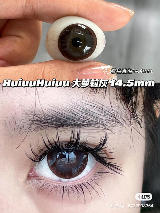 【店主实拍】Sheepcon大萝莉灰-14.5mm 【年抛 度数0-1000度 无525/575】 商品图0