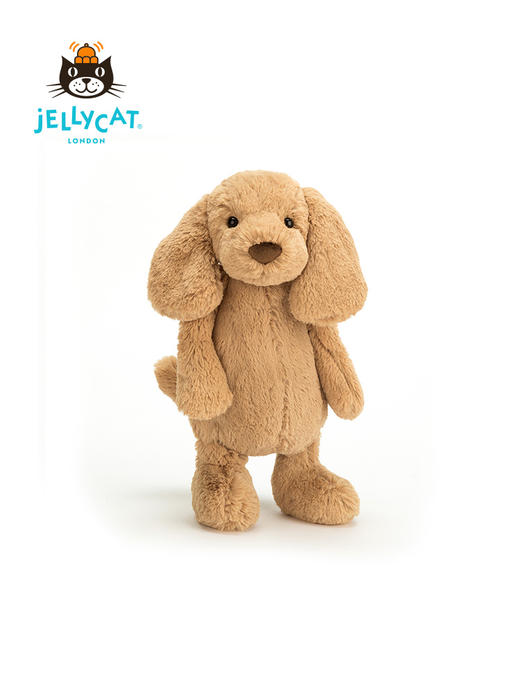 Jellycat 害羞系列 小狗 太妃糖色 31cm 商品图4