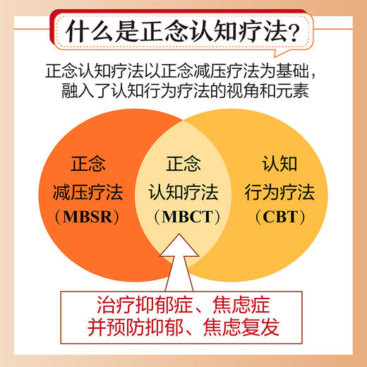 正念认知疗法：具身体现与探询练习 正念减压正念冥想认知行为疗法告别焦虑抑郁重获平静自信疗愈心理学书籍 商品图2