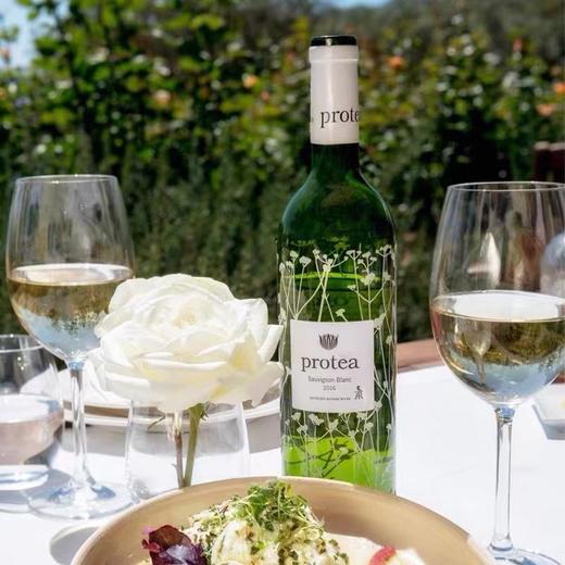 帝王花长相思干白葡萄酒 Anthonij Rupert 'Protea' Sauvignon Blanc 商品图0