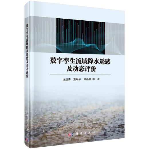 数字孪生流域降水遥感及动态评价 商品图0