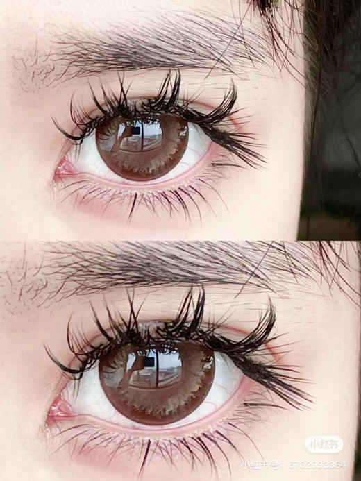 【店主实拍】AgensColor-波斯菊棕- 14.5mm 【年抛 0-1000度 无525/575】 商品图2