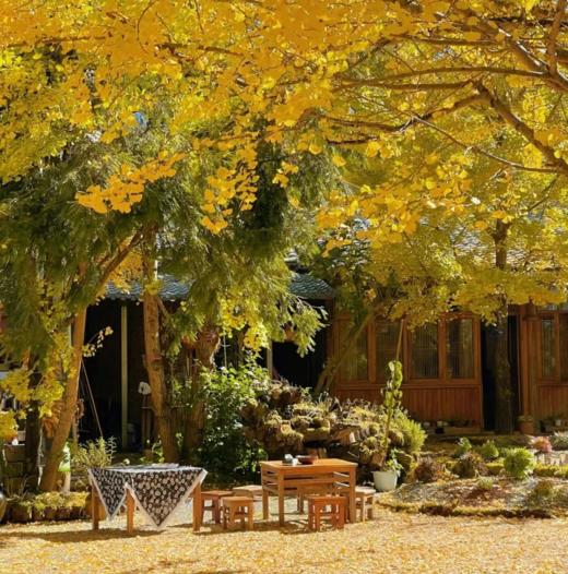 边玩边养老丨旅居毕节，赴百里杜鹃春季盛宴，醉享乌蒙秘境康养旅居好时光！ 商品图1