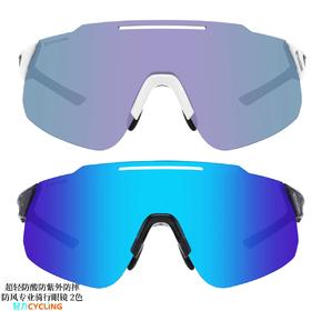 紫雪蓝雪专业超轻偏光防紫外防酸骑行眼镜2色