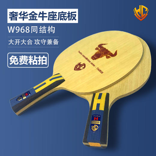 金满贯金牛座乒乓球拍底板内置碳纤维实木08面材进阶横拍直拍 商品图1