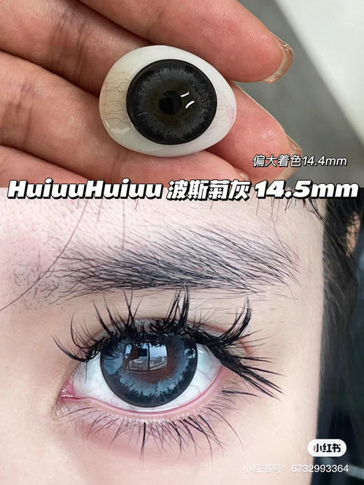 【店主实拍】AgensColor-波斯菊灰- 14.5mm 【年抛 0-1000度 无525/575】 商品图0