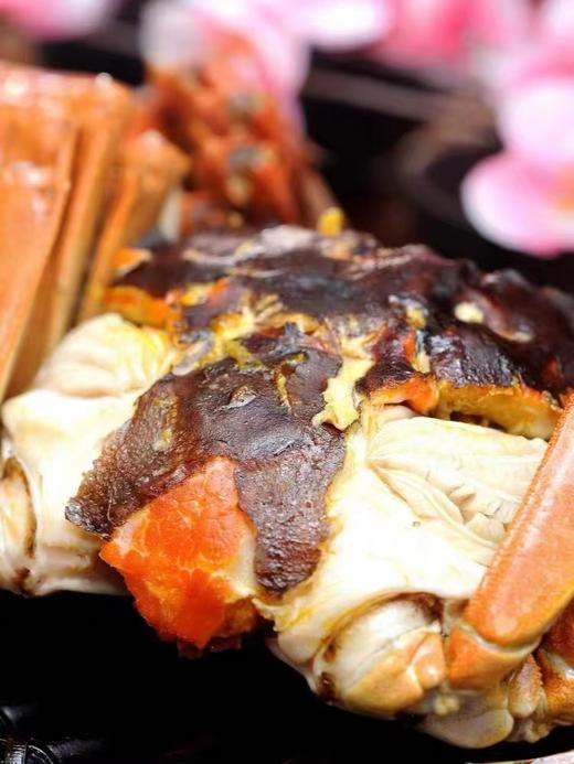 臻选级2388型洪泽湖大闸蟹8只（公蟹4.5-4.9两，母蟹3.0-3.4两） 商品图4