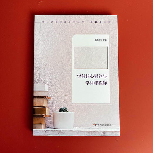 学科核心素养与学科课程群 学校课程深度变革丛书 核心素养  初中案例  跨学科整合的课程体系 商品图1
