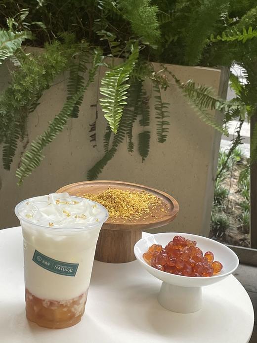 桃胶桂花酒酿牛奶吸吸 商品图1