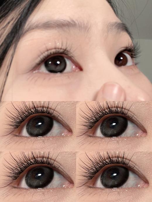 Yukicon日抛新品-黑森林（10片） 商品图9