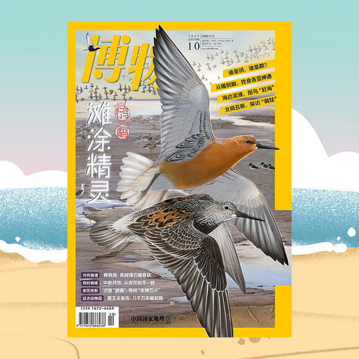 《博物》202310 鸻鹬类水鸟 暴龙超科崛起之路 非洲纳米布沙漠猎游 中国青铜剑 石榴 商品图0