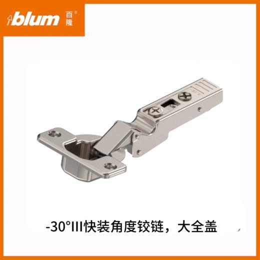 快装角度铰链【散件订购】 商品图4