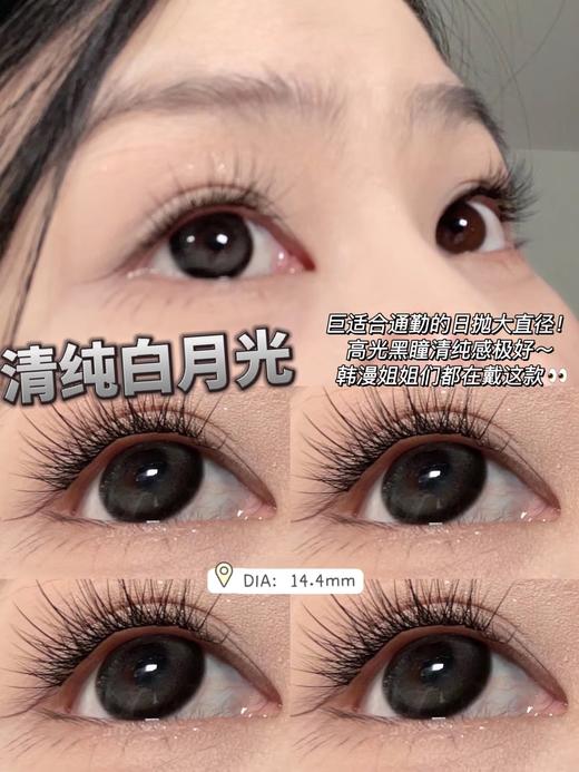 Yukicon日抛新品-黑森林（10片） 商品图1