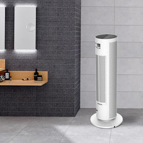 松下（Panasonic） 取暖器家用暖风机电暖器节能冷暖速热摇头客厅卧室电暖风塔式立式电暖气 DS-P2013CW（遥控款）