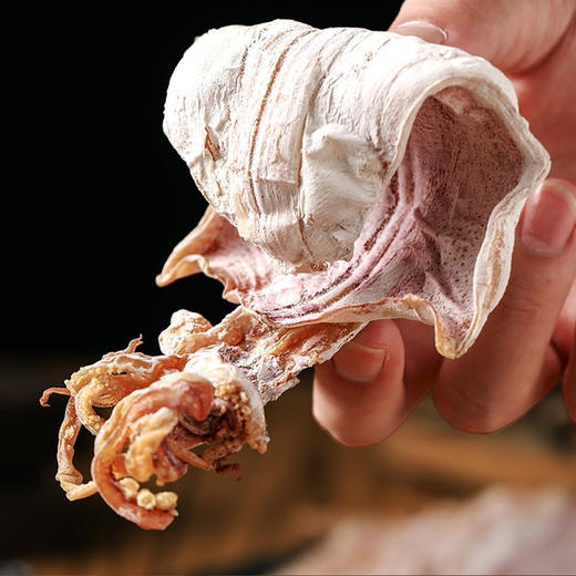 【湛江帮扶】廉心鱿鱼干 202g 商品图2