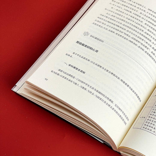 学科核心素养与学科课程群 学校课程深度变革丛书 核心素养  初中案例  跨学科整合的课程体系 商品图11