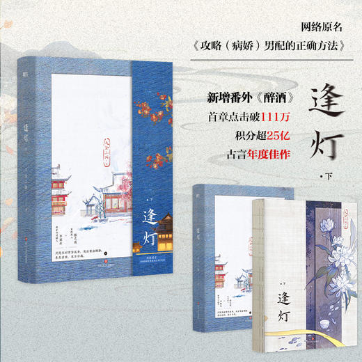 逢灯.下（网络原名《攻略（病娇）男配的正确方法》） 商品图2