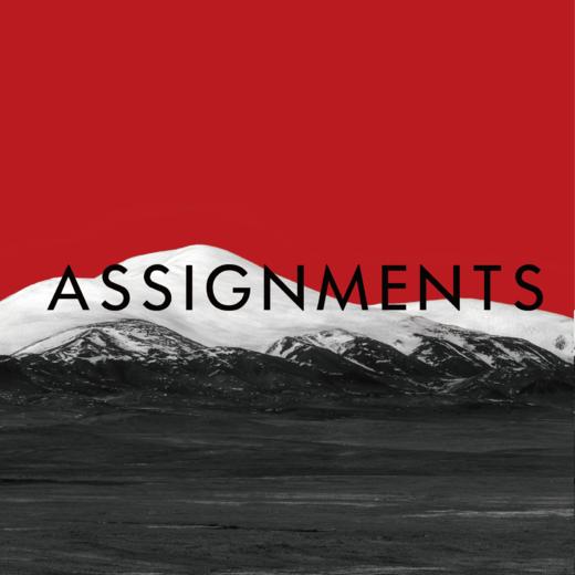 Assignments SS2024秀票 （蕾虎场) 商品图0