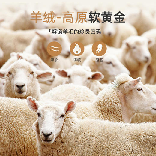 雀说~5A抗菌蚕丝羊毛德绒保暖内衣套装秋冬无痕发热暖姜贴片秋衣秋裤W3459-WX111-DC149 商品图2