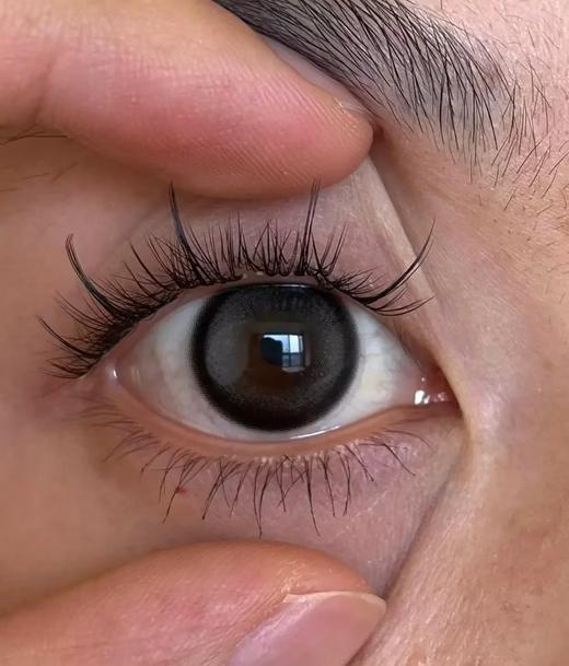 Yukicon日抛新品-黑森林（10片） 商品图5