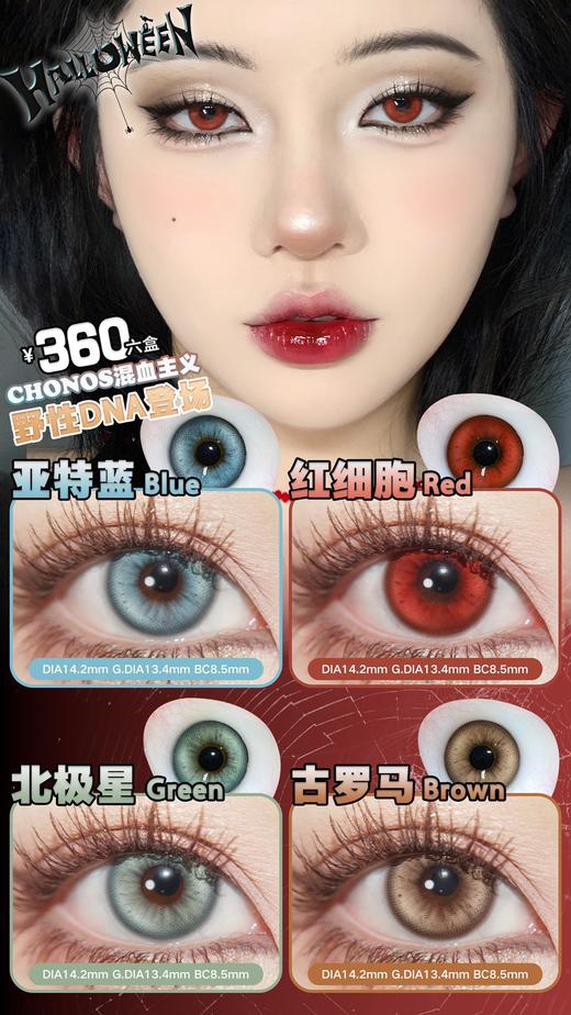 CHONOS红细胞/北极星/亚特蓝/古罗马 10片/盒（日抛型） 商品图0