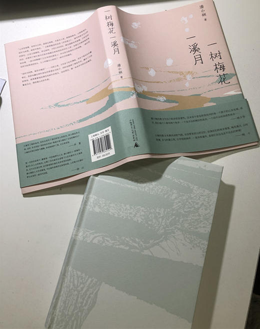 【毛边签名本】一树梅花一溪月 潘小娴著 商品图6