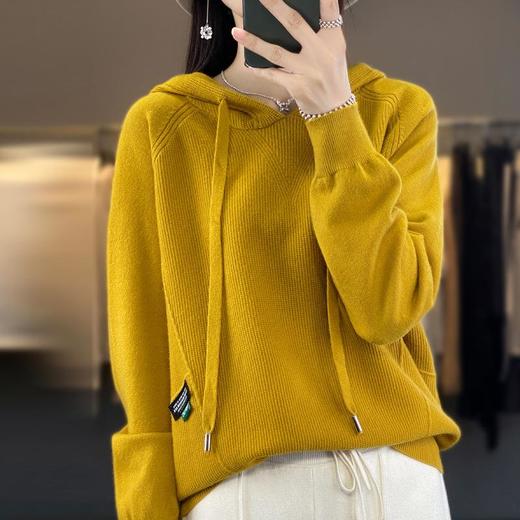 新款2023秋季风气质安迪绒套头厚连帽宽松型毛衣女式针织衫 商品图3