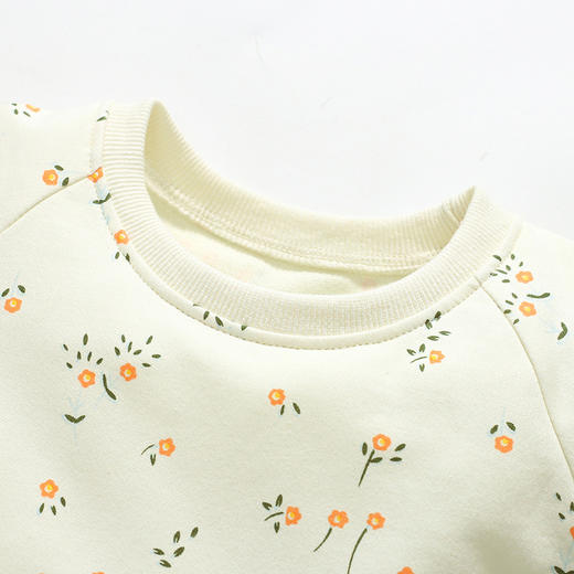 【采用纯棉面料，确保舒适度和透气性！】女童连衣裙纯棉长袖儿童卫衣裙欧美秋季童裙公主裙为孩子提供温暖和保护，欧美风格的设计，展现出时尚与个性 商品图2