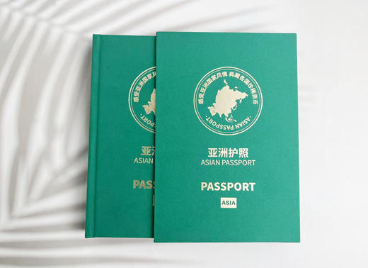 【爆单 下单7天内发货】【亚洲护照】钞币典藏册，99%的人做梦都想拥有‼️ 商品图1