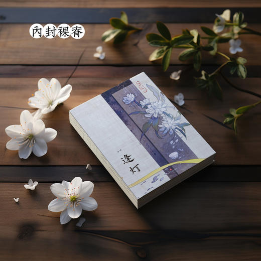 逢灯.下（网络原名《攻略（病娇）男配的正确方法》） 商品图6