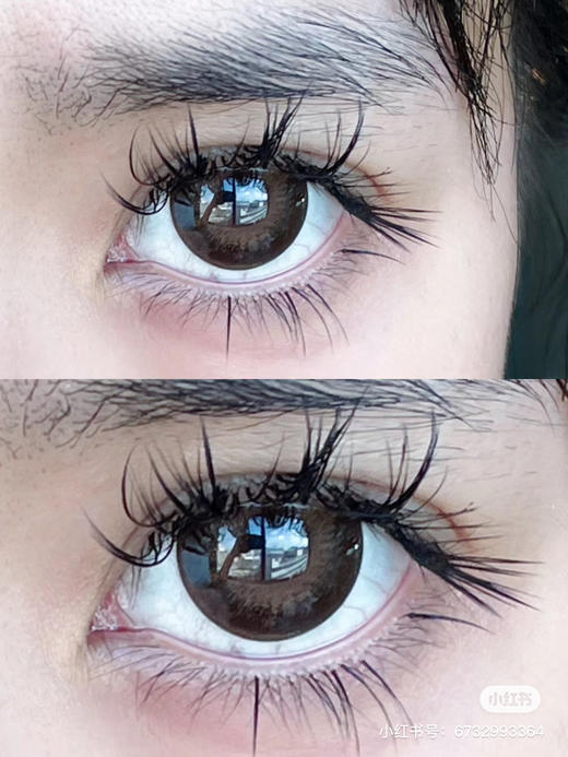 【店主实拍】-AgensColor皇家菲士- 14.5mm 【年抛 0-1000度 无525/575】 商品图1