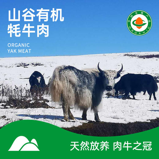 【有机牦牛】 有机牦牛肉牛腿 牛腩肋排里脊牛尾巴牛腱子  现杀 商品图0