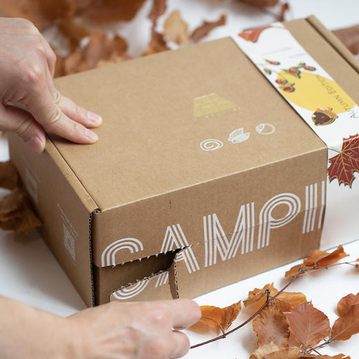 全国配送「秋日限量版」露营野餐盒 商品图14