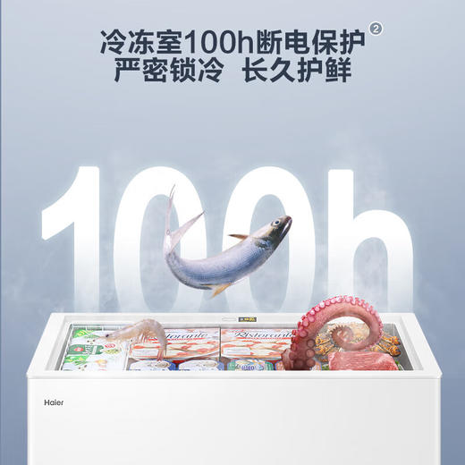 【海尔BC BD-300GHD】海尔300升低霜冰柜家用商用 冷藏柜大冷冻柜大容量冰柜商用大冷柜BC BD-300GHD 商品图3