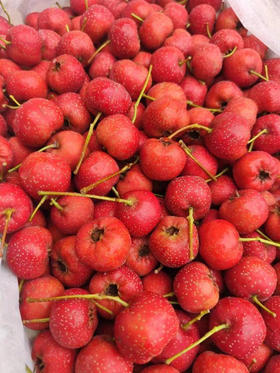 高山甜山楂 开胃解腻 酸酸甜甜甜糯 奶油口感 细腻丝滑的果肉 美妙甜蜜 来自天然 品味自然 与你分享这一刻——爱楂咋地！2.4斤/箱，6盒/箱