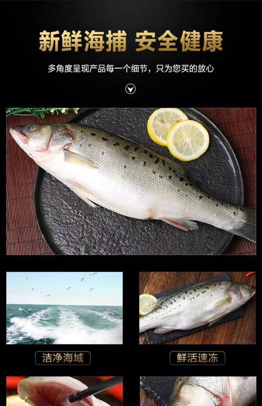 冷冻顺【丰包邮】海鲈鱼新鲜海鱼鲜活深海鱼1100g*2条 商品图8