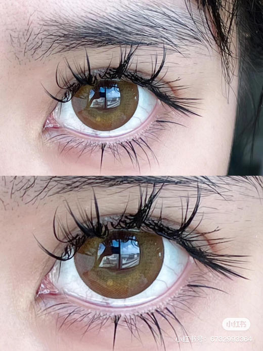 【店主实拍】SheepCon-菠萝油- 14.5mm 【年抛 0-1000度 无525/575】 商品图1