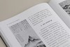 万壑过眼：中国古代书画鉴藏研究|傅申中国书画鉴定论著全编|傅申著 商品缩略图7