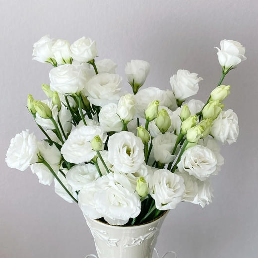 【佳海花业】洋桔梗  白色  四合一（700-800g） 颜色深浅略有差异 以实物为准 云南基地发货（价格已包含包装费用） 运费以实际为准，多退少补。 商品图1