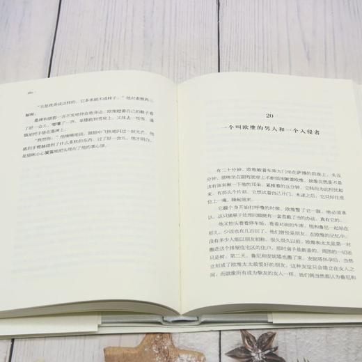 一个叫欧维的男人决定去死 商品图4