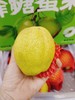 蜂糖蜜梨一箱 商品缩略图1