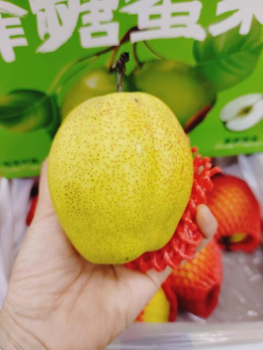 蜂糖蜜梨一箱 商品图1