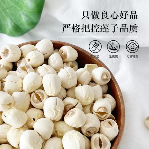 【建宁通心白莲】250克/袋 可以生吃的“脾之果”； 莲子 商品图4
