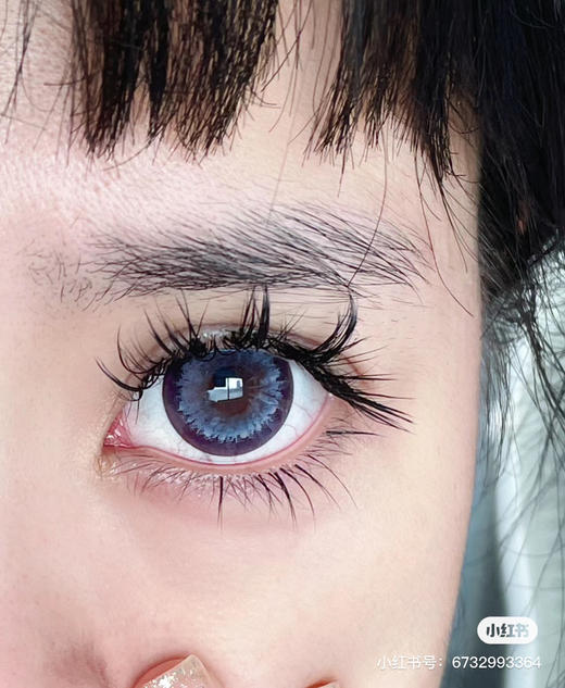 【店主实拍】AgensColor-波斯菊紫- 14.5mm 【年抛 0-1000度 无525/575】 商品图1