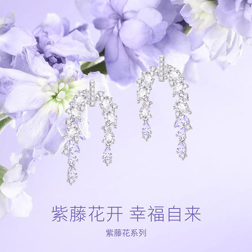 紫藤相依【耳环】Fanci范琦 紫藤花系列 925银饰轻奢生日礼物 下单赠精美礼盒 顺丰空运+运费险 商品图1